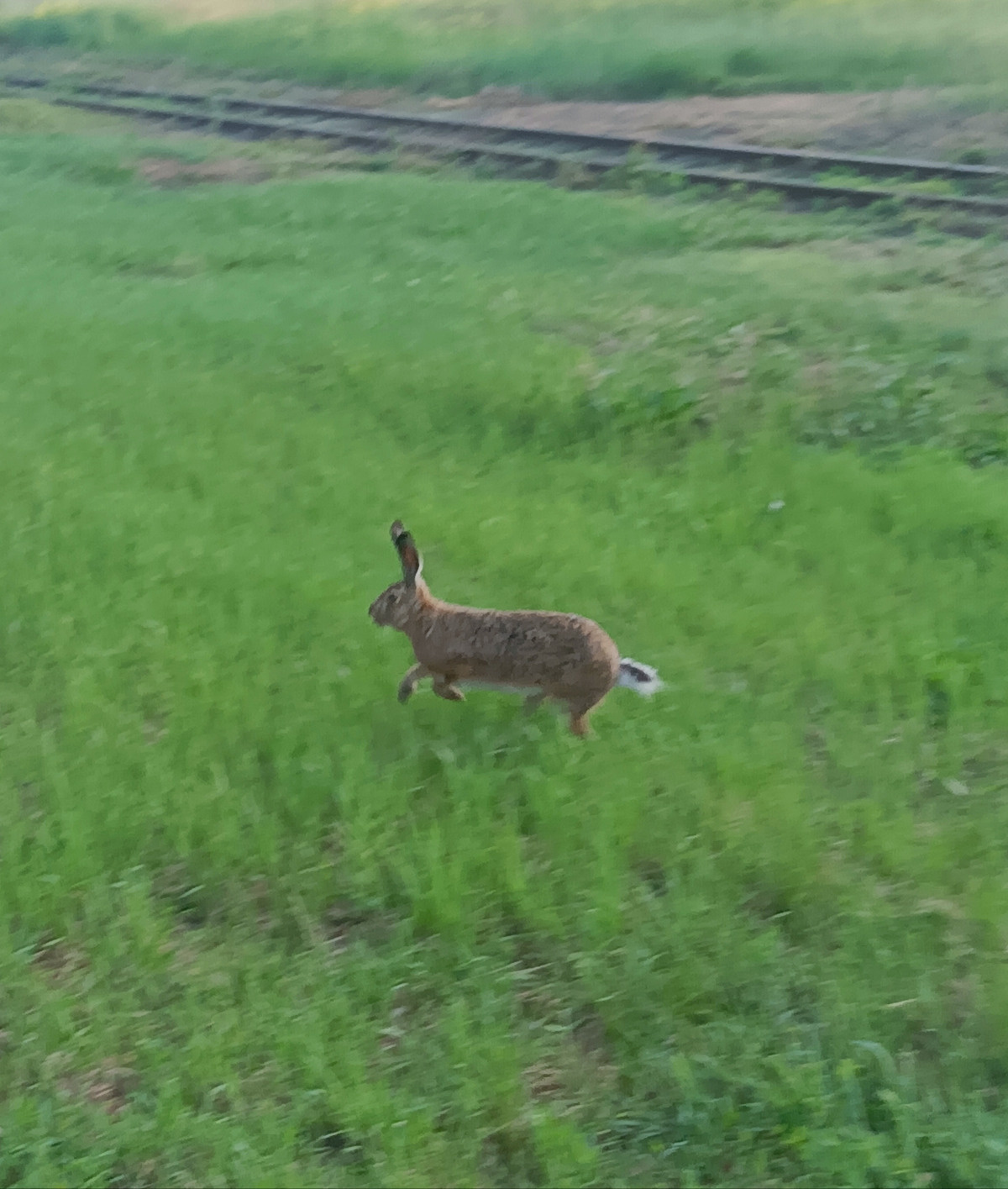 4c7b72be-db40-4388-babe-f5b716e37af0