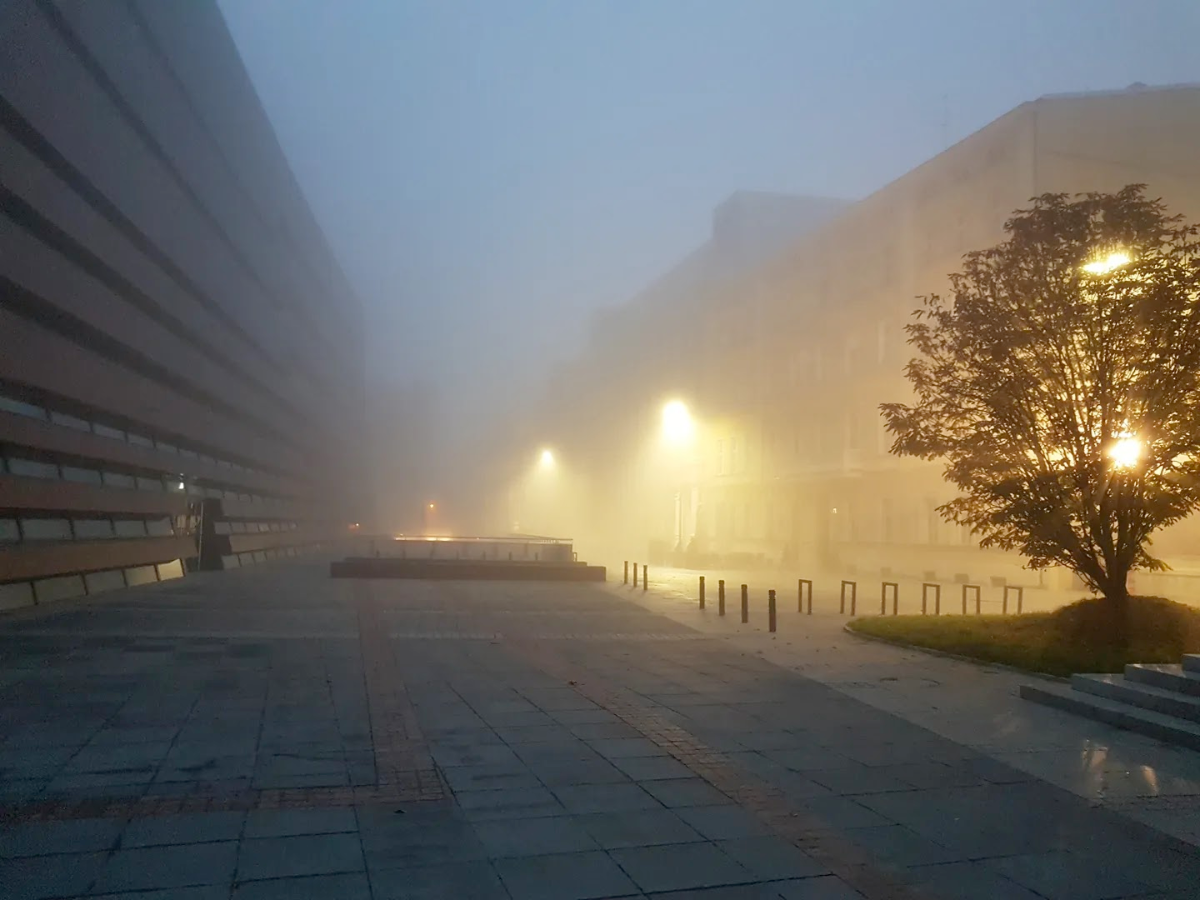 5d232340-c9b3-4d86-92fe-a300d6eb6021