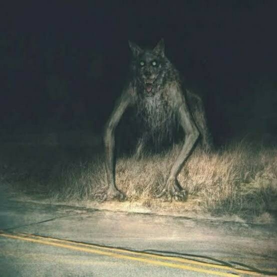 0c717a18-e80e-4fe2-b56e-d130d55e25f5