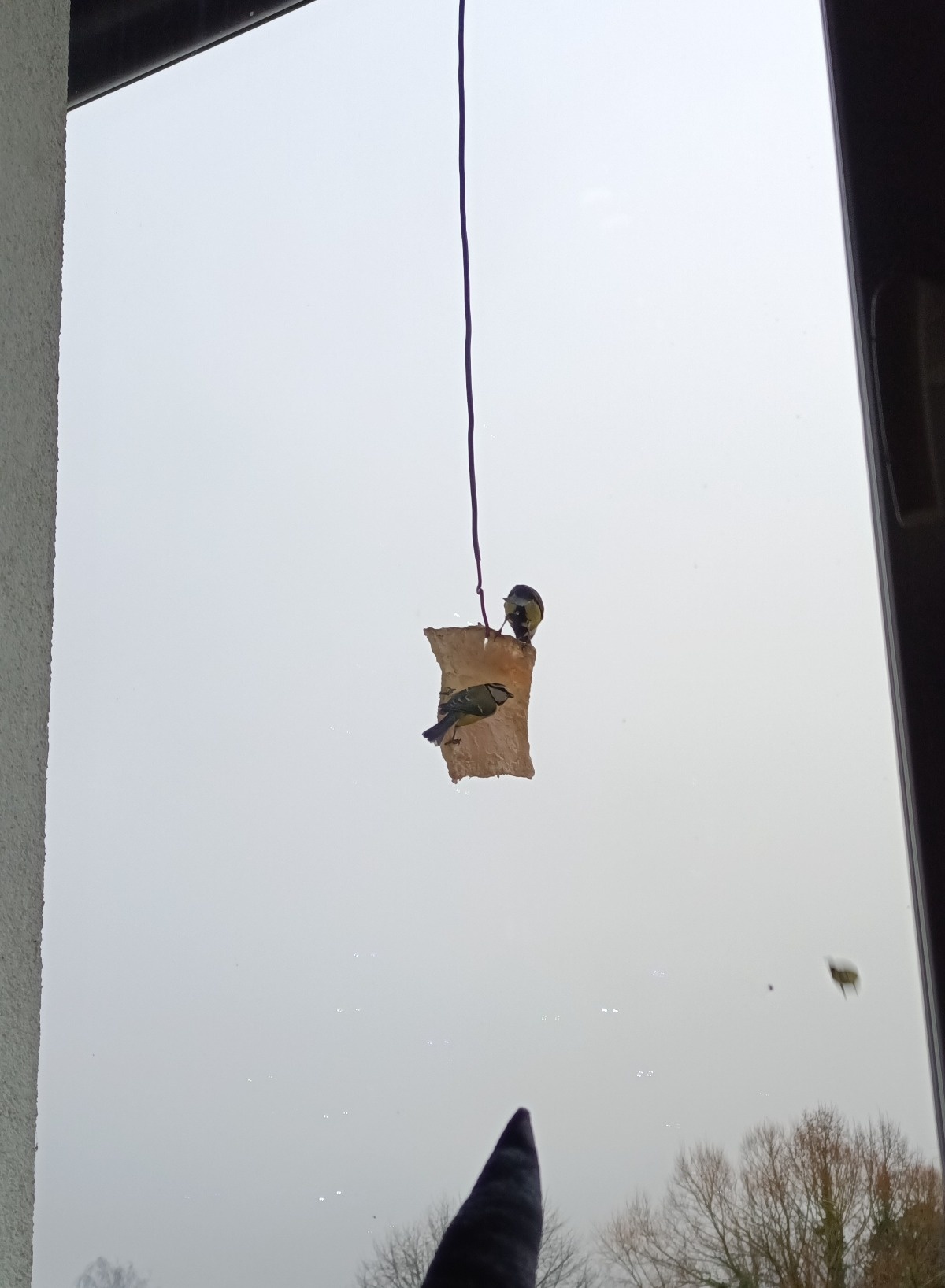 80a96d72-7e94-46d6-bdc4-26d7c3d90432