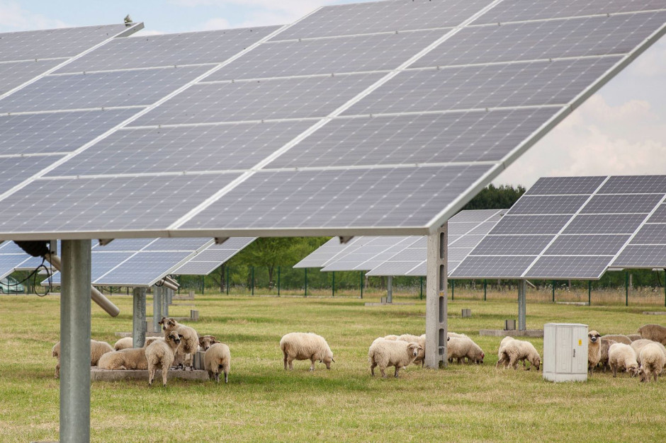 Latem Polska mogłaby być zasilana wyłącznie z paneli słonecznych