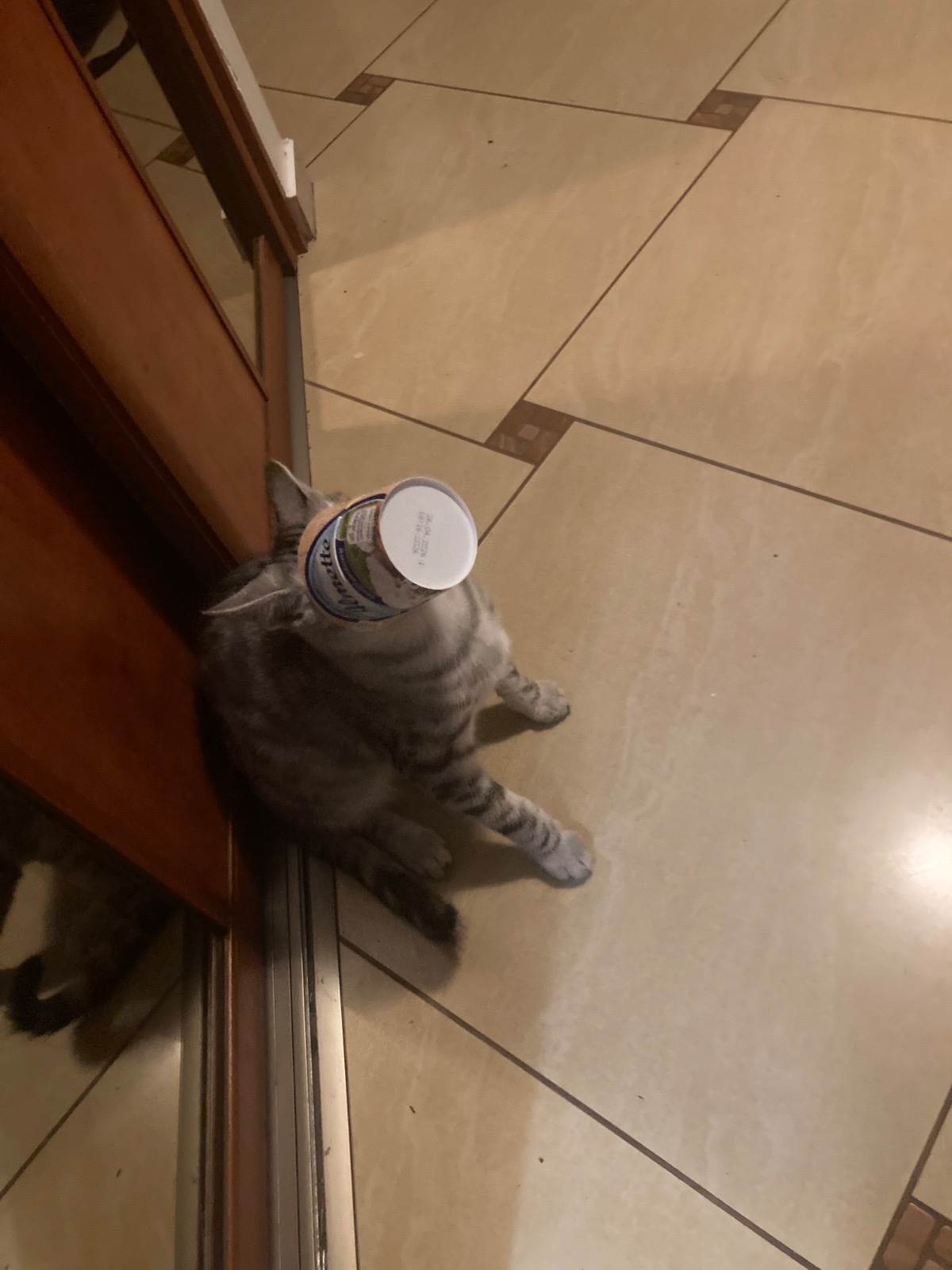 14ddbafe-8da9-4152-8f1c-8e44be30c30a