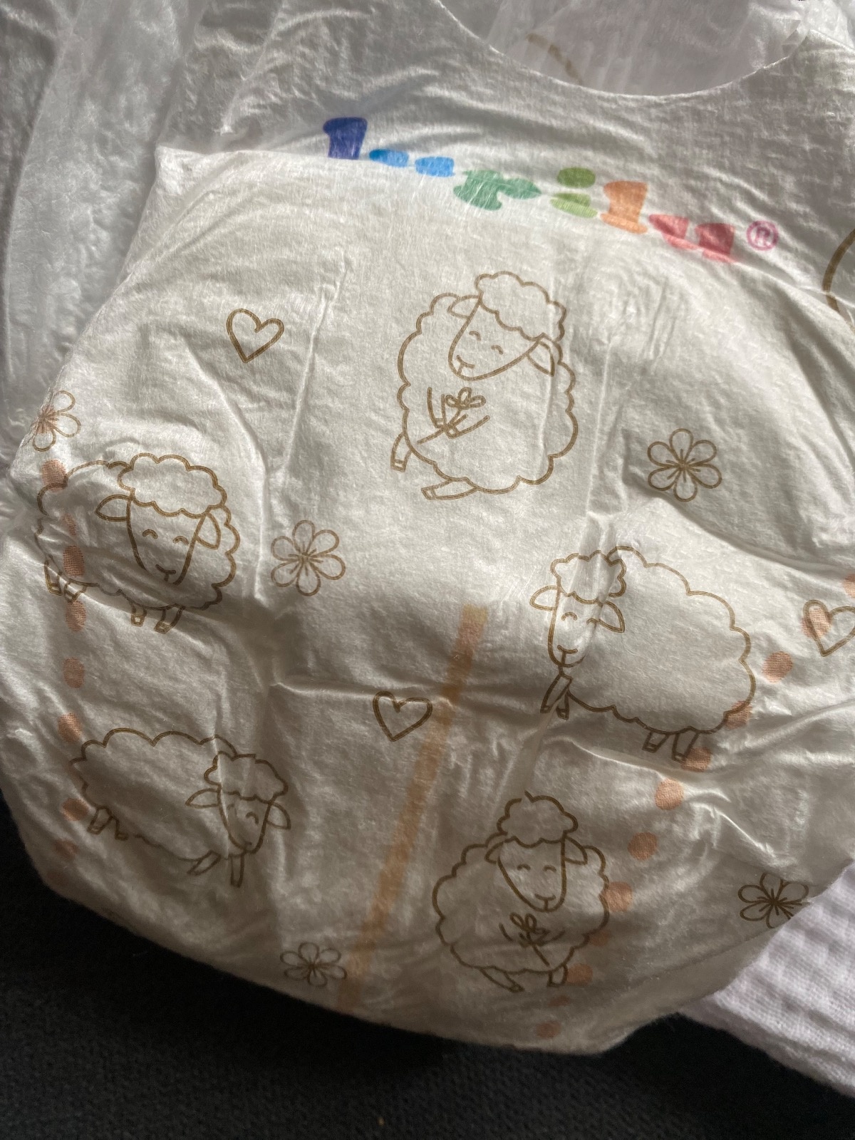 0158c35f-d9ee-4118-935c-5be7a392ad74