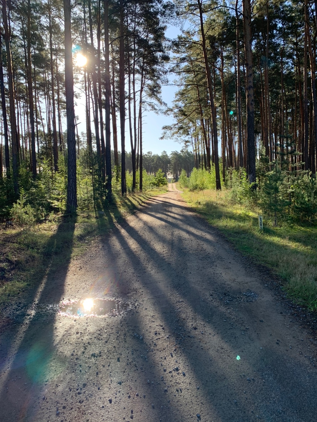 6a3b4fd8-beb3-4250-9949-842c2a4a2af9