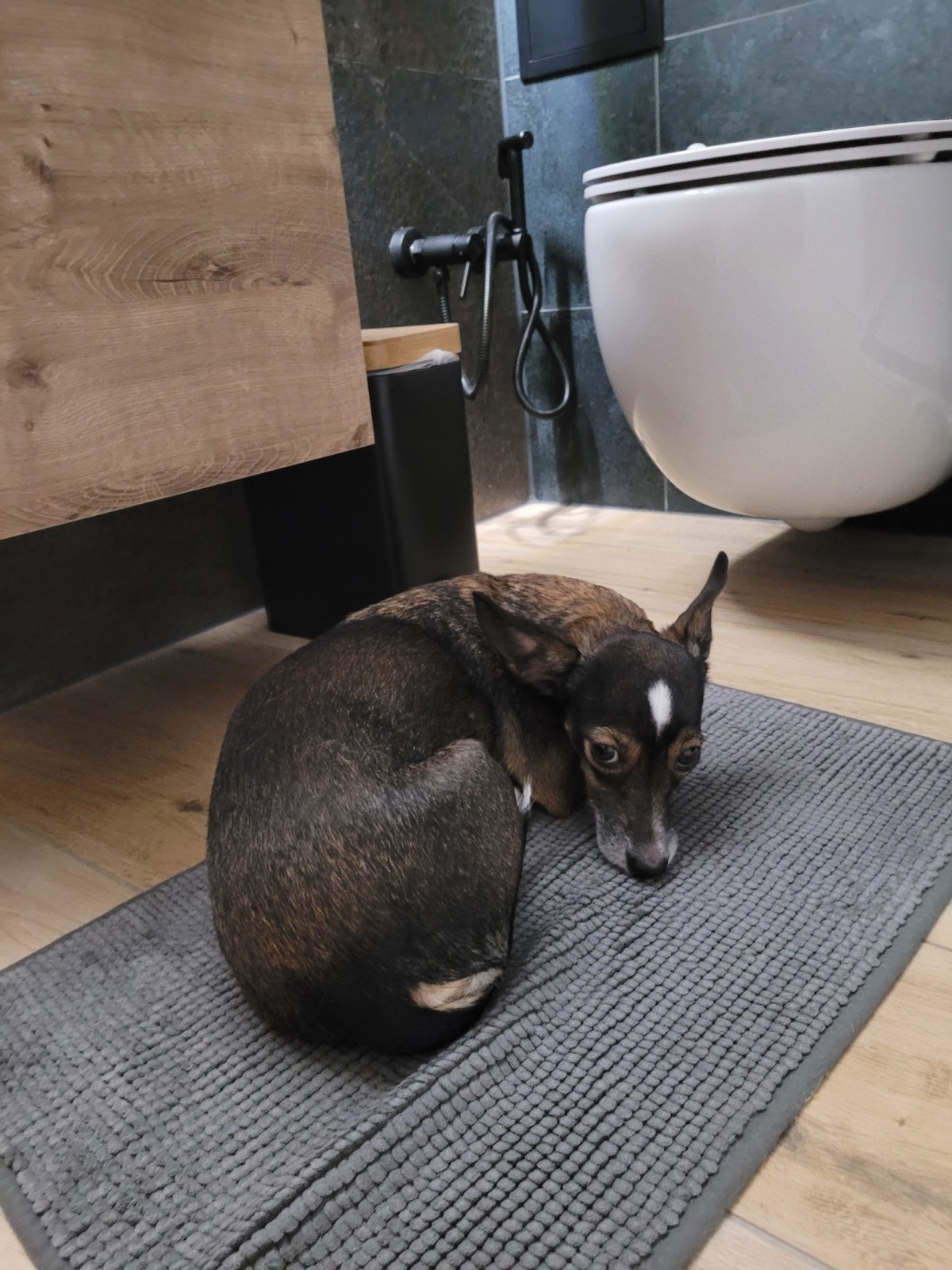 2486007d-898e-4552-945d-7070e49145a9