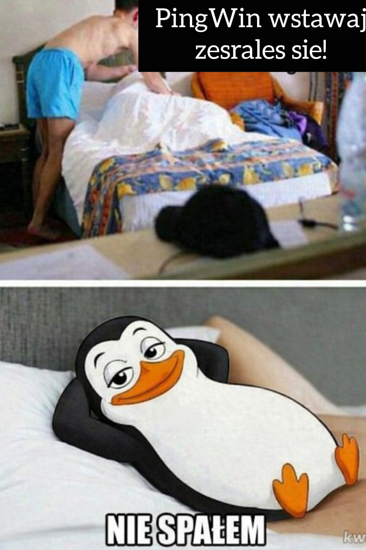 248c2d12-72a9-40f1-9b99-828699780a8b