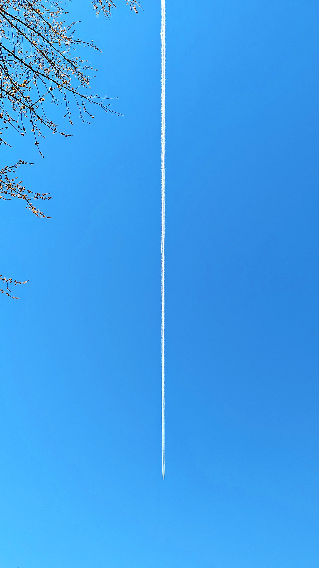 817f2858-8de2-4a30-bfb5-a4b6d6e5b509