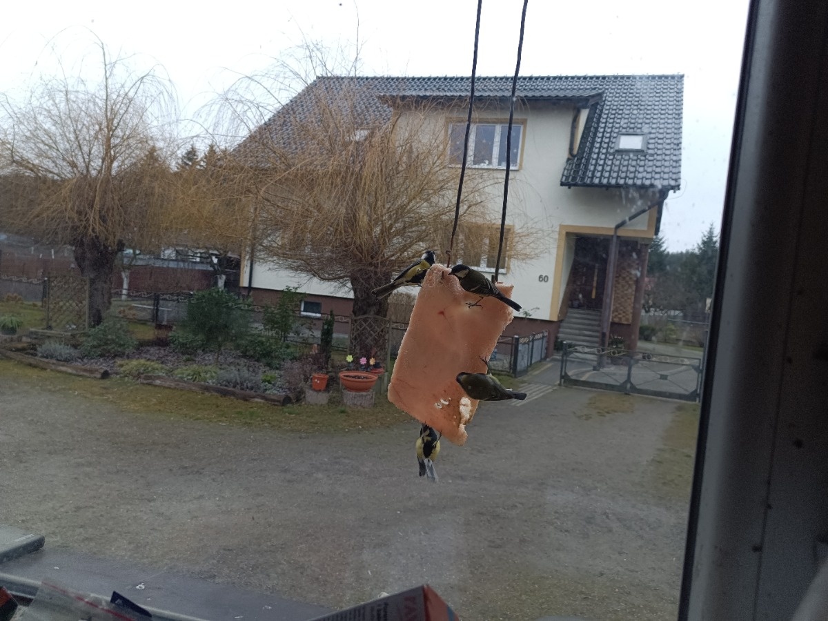 1e89fec7-0c40-4502-b254-f28711476128