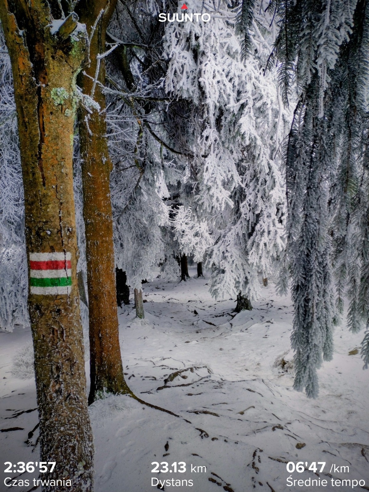 b8f54acb-0e99-4d19-aea0-86201f2e7282