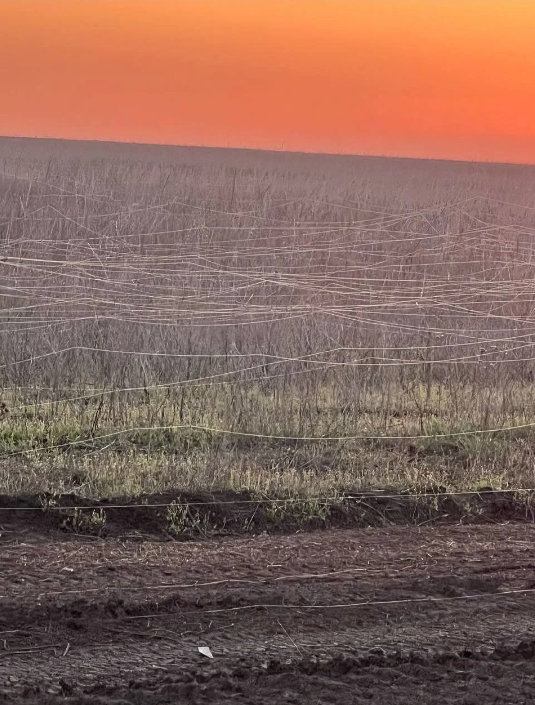 985dd5e3-5155-4501-b2ba-e615ccda9acc