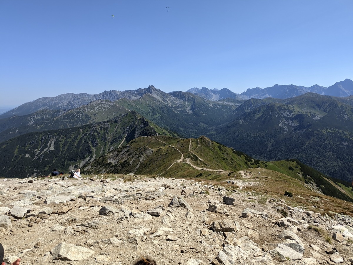 5d29a01c-5c8e-4cf5-83d7-57187470aba5