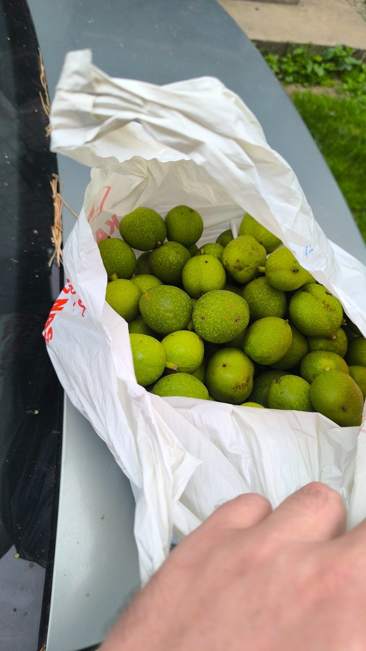 10ed1012-b98d-4789-ac30-1480953d867d