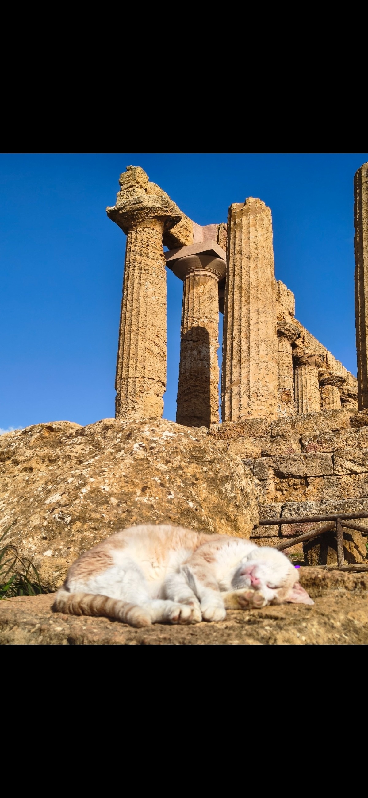 8f739039-f516-4bbf-b130-5ba723050789