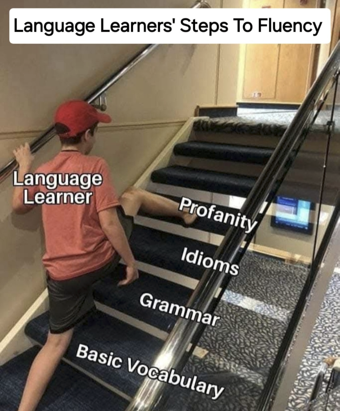 4d83a6e8-898b-410a-a753-782876478bc0