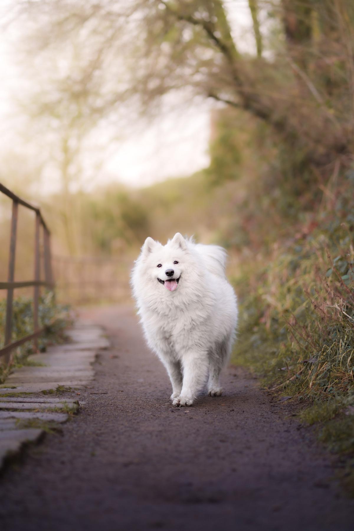 14585564-6e57-4ad5-ab28-9aca38a7dd09