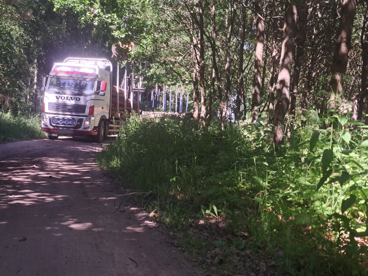 d1e429b6-553b-4b2b-bd84-efff6803e92f