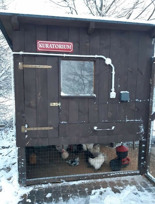 95d187e3-8c6a-4c96-b9e9-ea2d87bfc71f