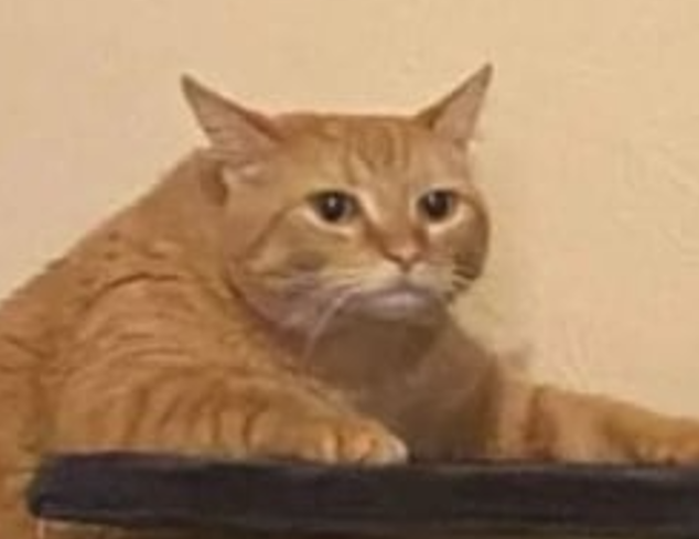 672764c5-0165-4d25-926d-935d474a85be