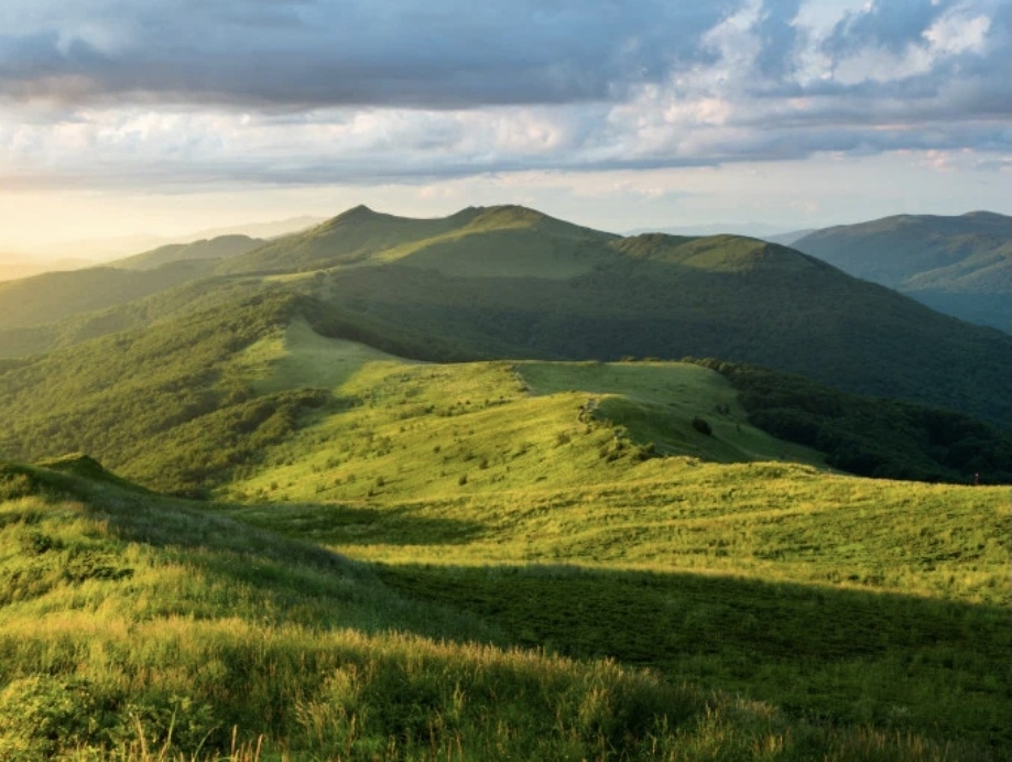 3158d2b3-48b0-41a8-b919-26c0baaadb27