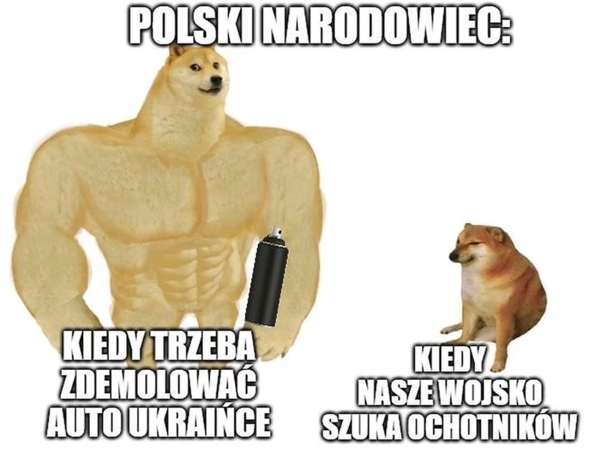 8806ba3c-b2fa-4885-a3ed-7152e225cad7