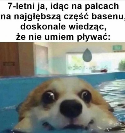 3b6d4873-12a6-4c29-ba34-bf865e36f8df