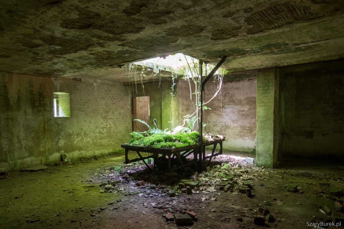 Pałac i mauzoleum rodziny Cohnów