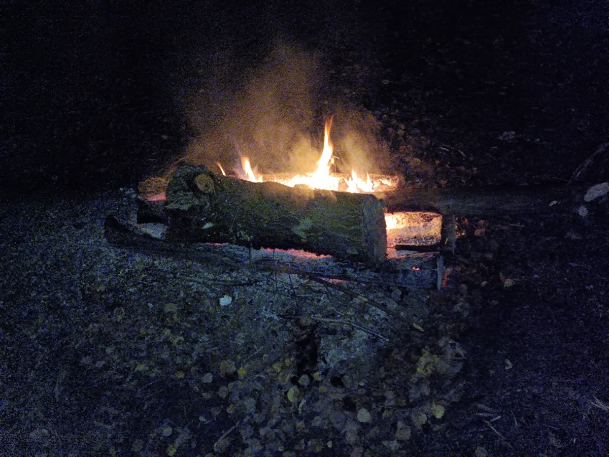 9bfd1370-ea91-4700-a709-9f67bd1c9424