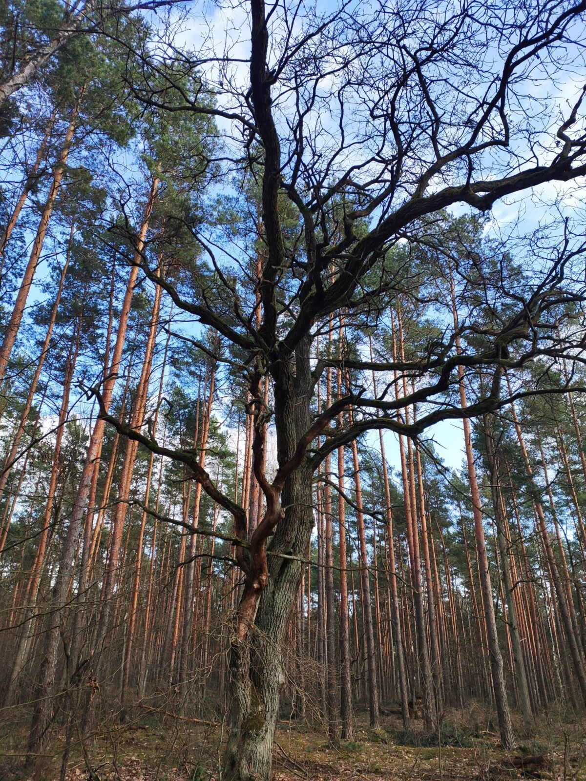 704c5256-c26d-4885-8180-e856e309a596