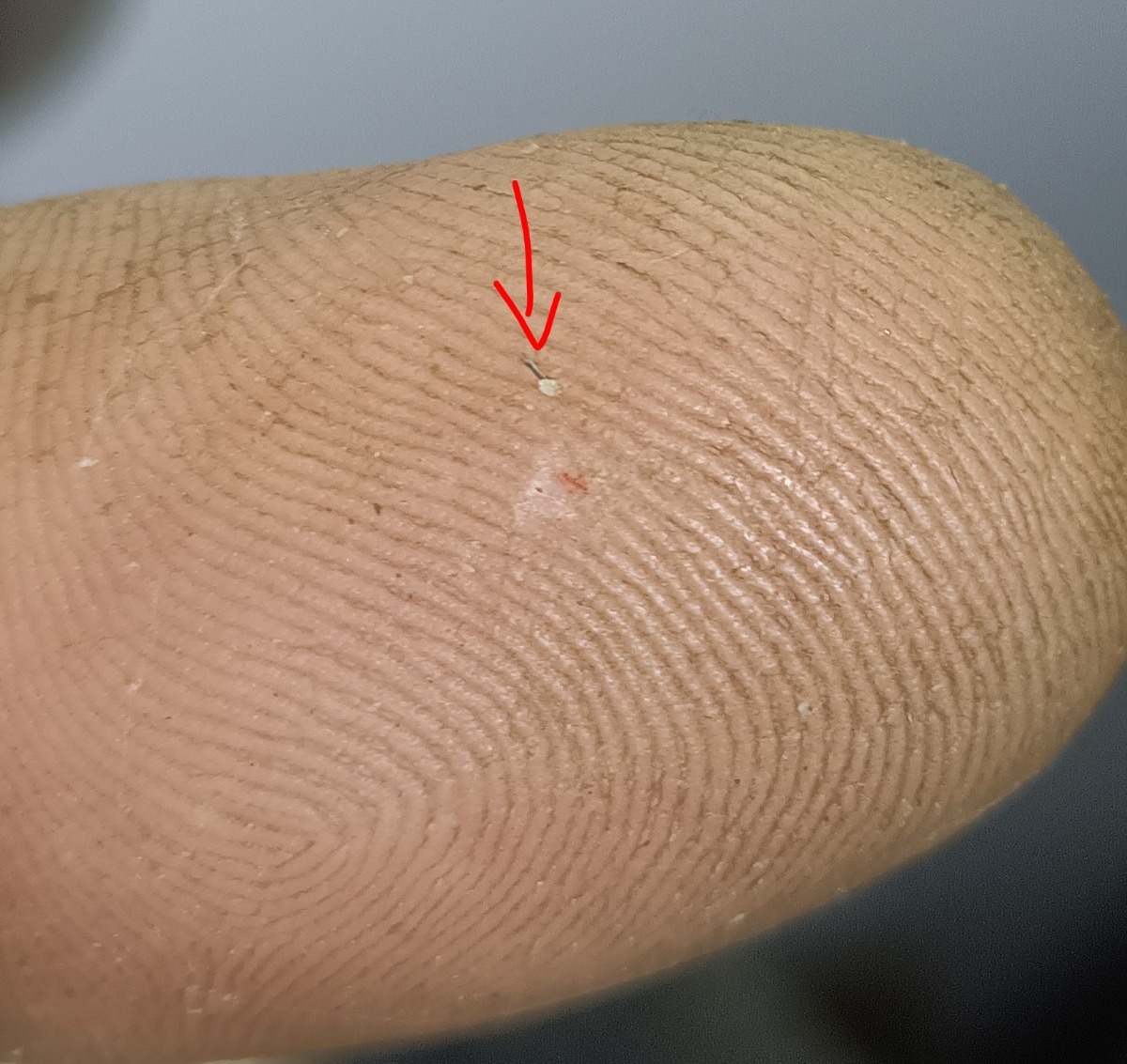 4e86fda7-6975-41d3-b2d3-e40069e683c9