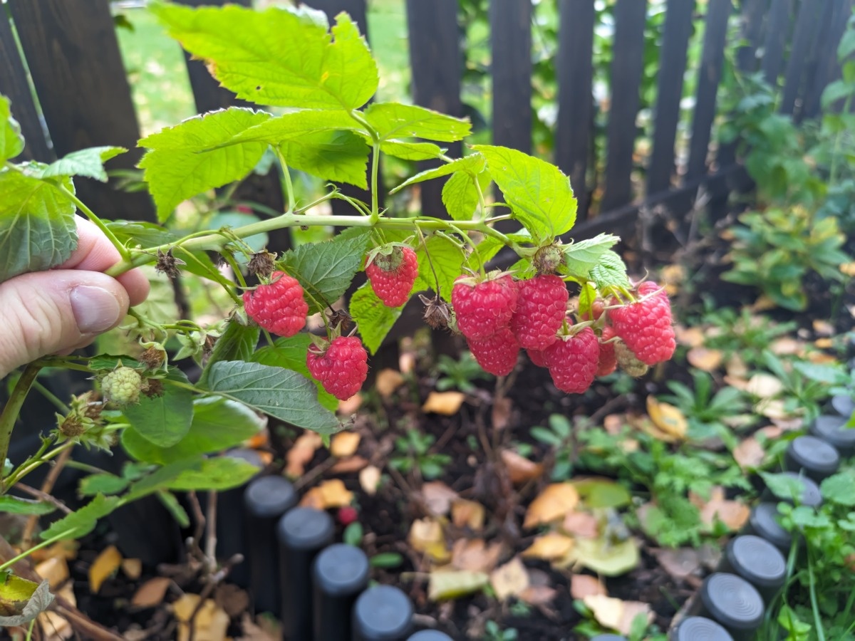 8cbf7a2e-fcd3-4173-8824-3938bbbf2530