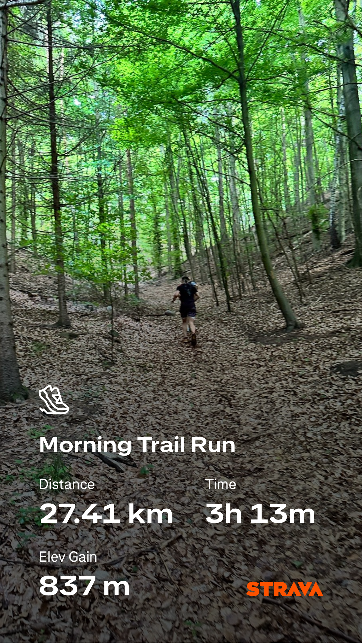 96c8b024-5de9-486f-8bc1-1292992d475a