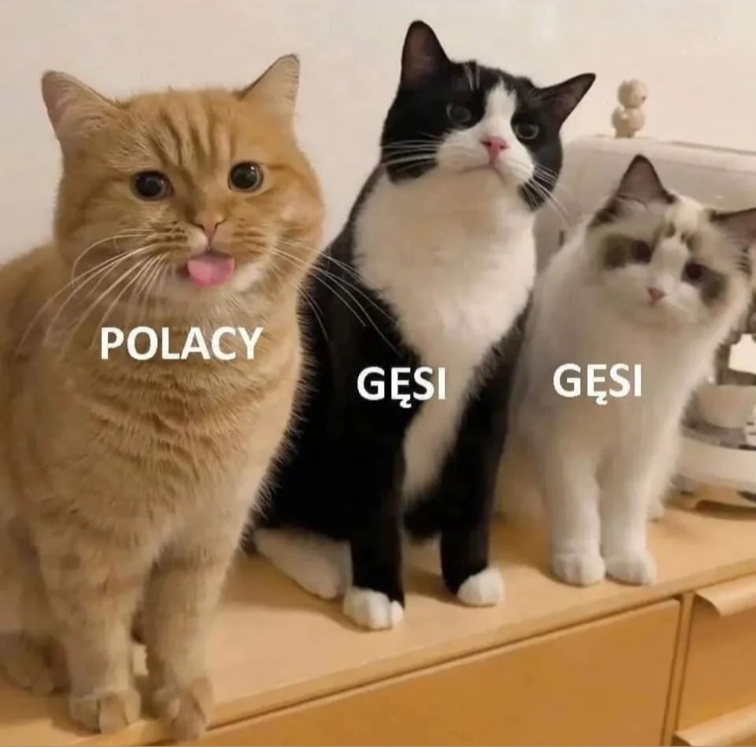 aeced26c-788d-4824-a9ff-7dbb6aeaaaf6