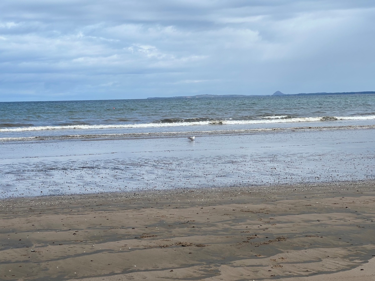 b81439a6-cd02-4f68-acf7-07a92723db38