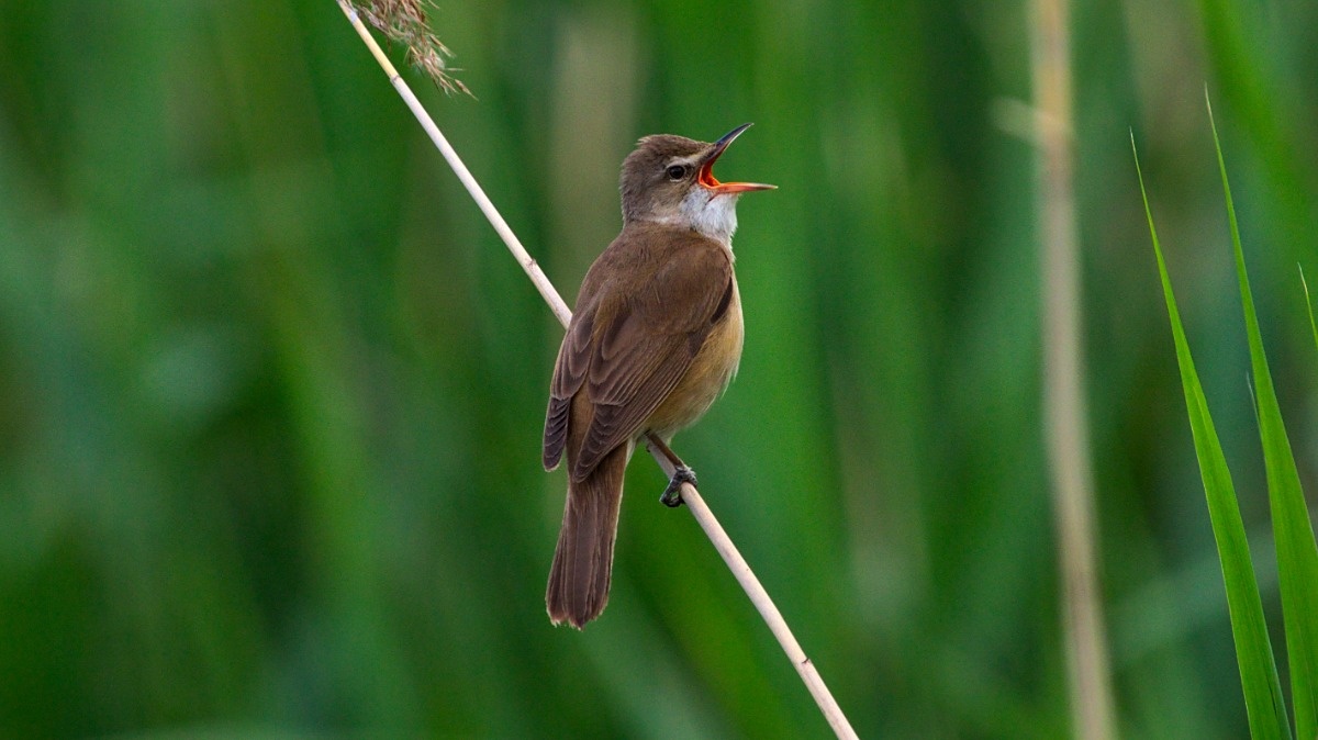 c698122a-8b92-497b-b9bb-cf1b3f971526