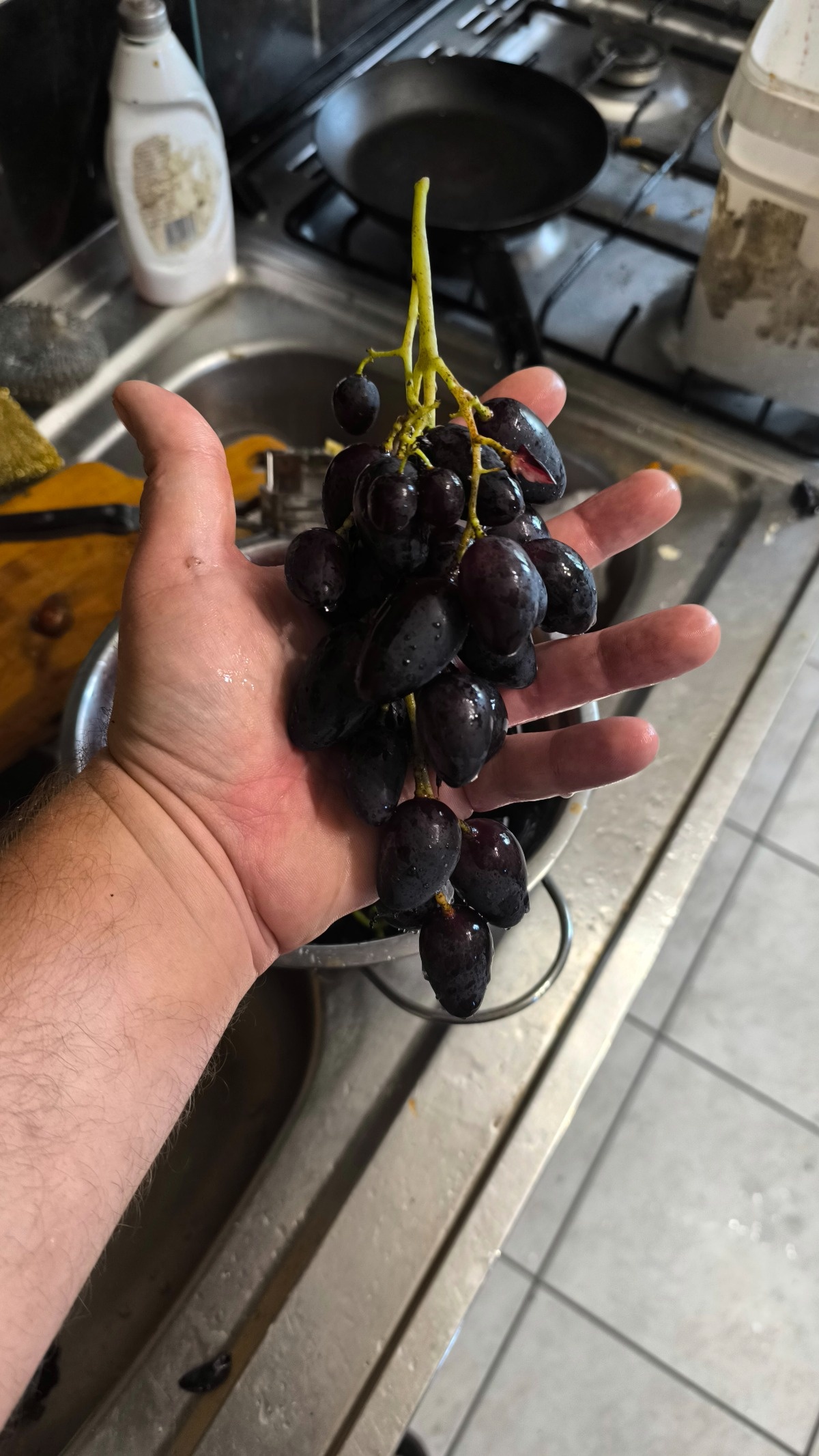 a3f51f9c-ebef-4fde-9a65-1236e1c444c4