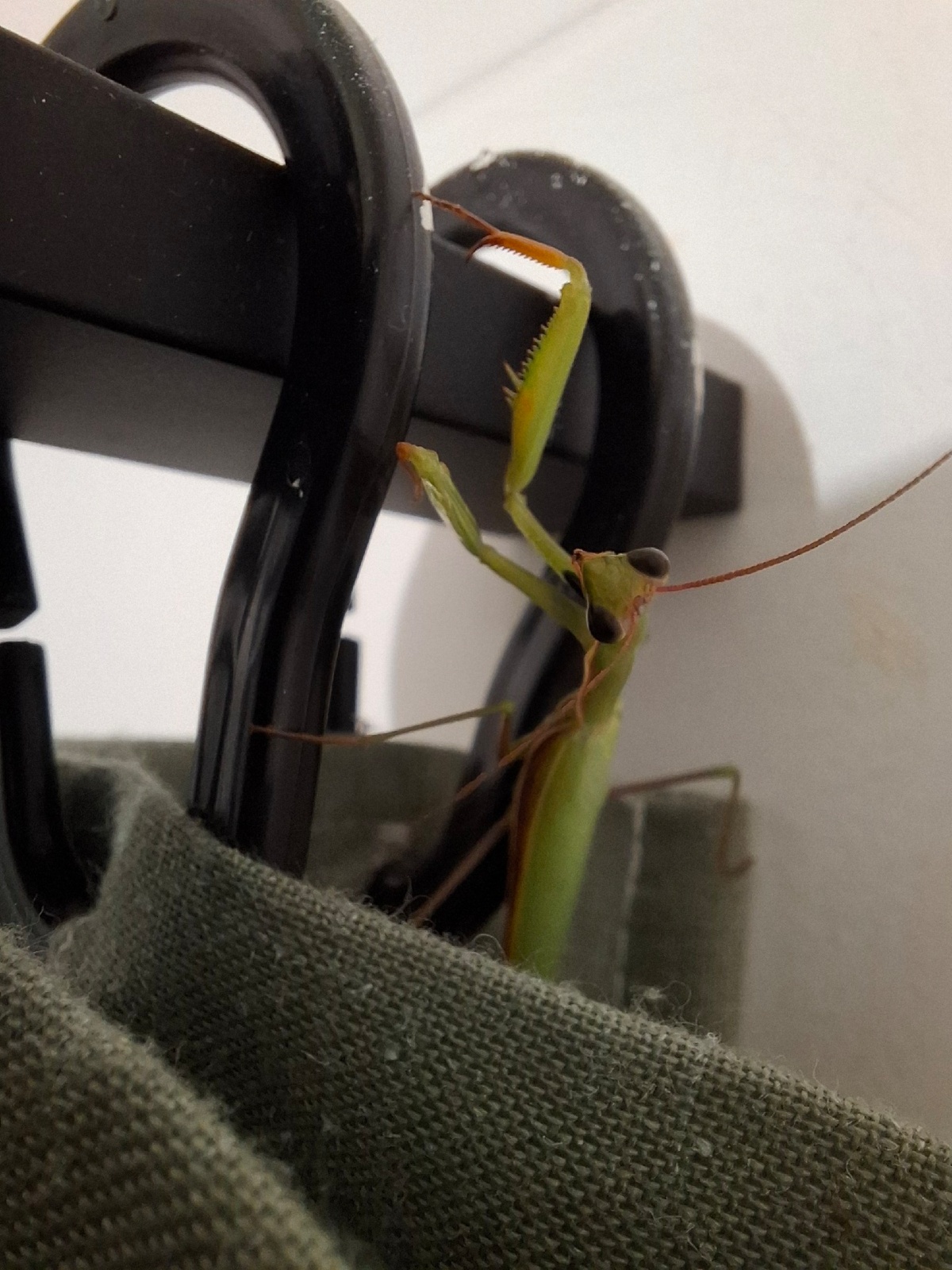 a0e4d158-97b0-45b0-b035-310bc12c54d3