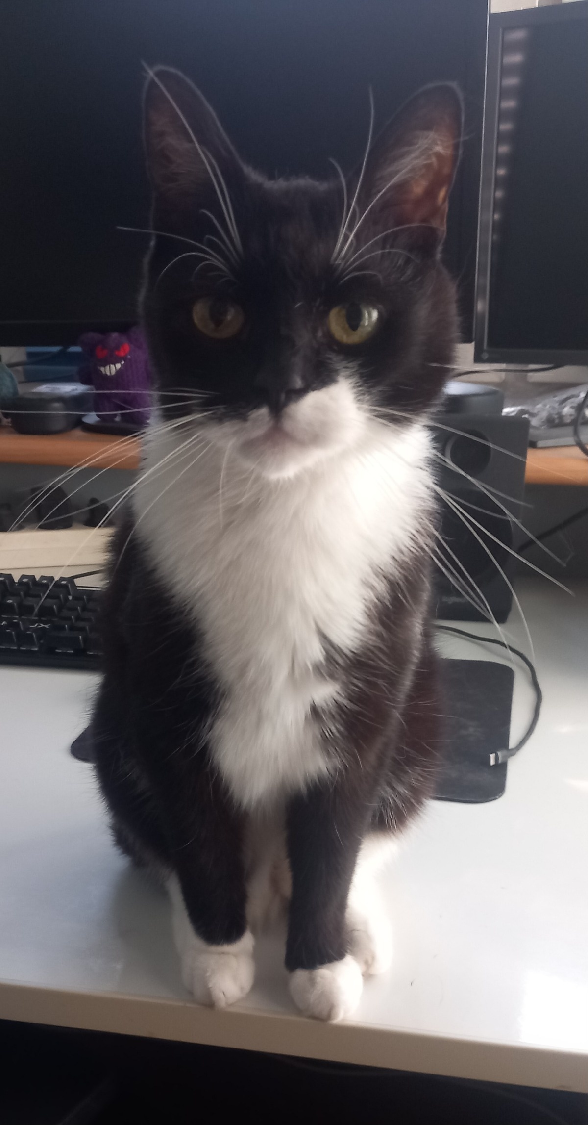 757bb556-8c55-445e-b5d9-be6ff13a70ab