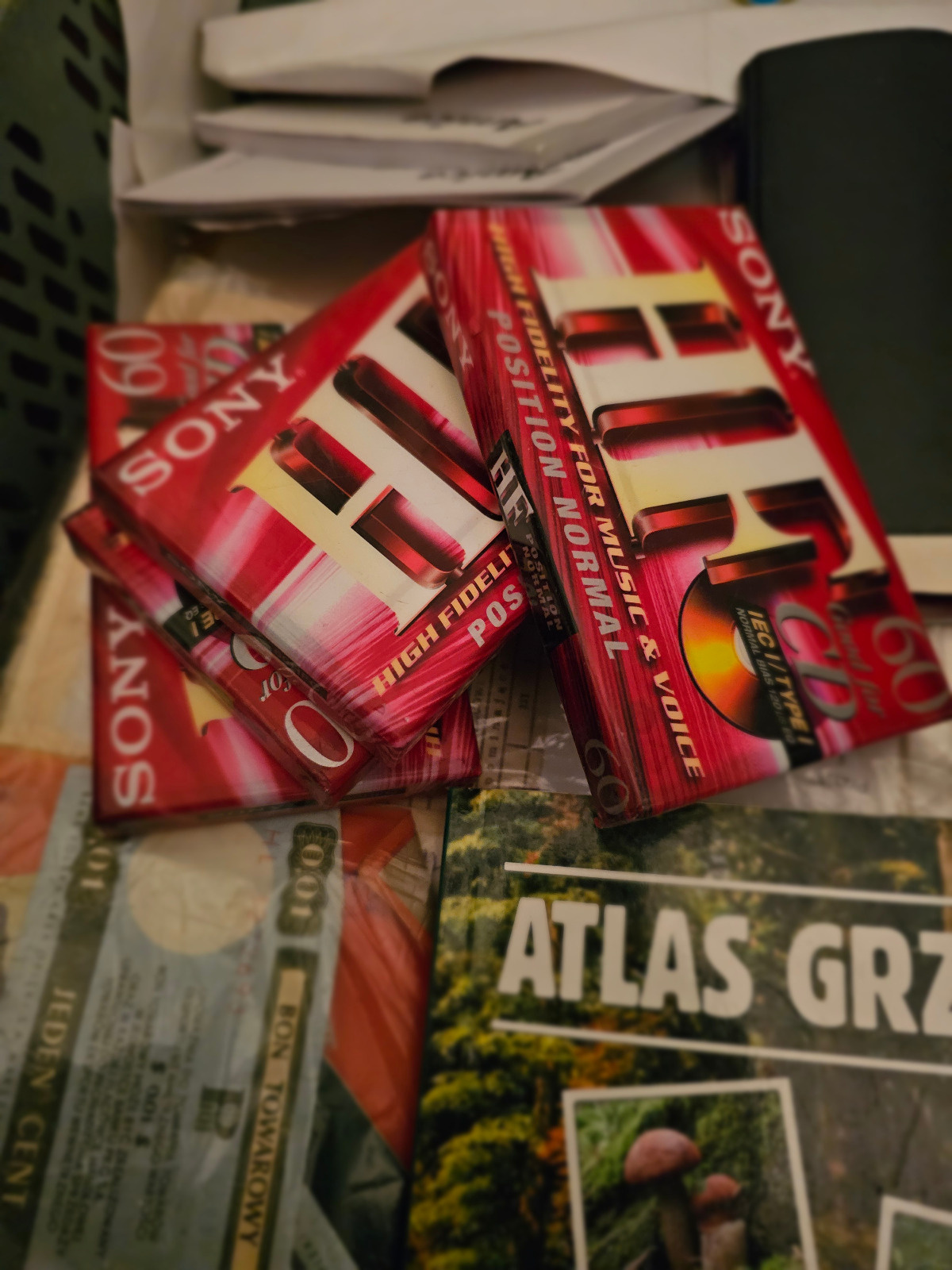 9c5dabf7-7af6-4b9f-abd3-d8def258ae28