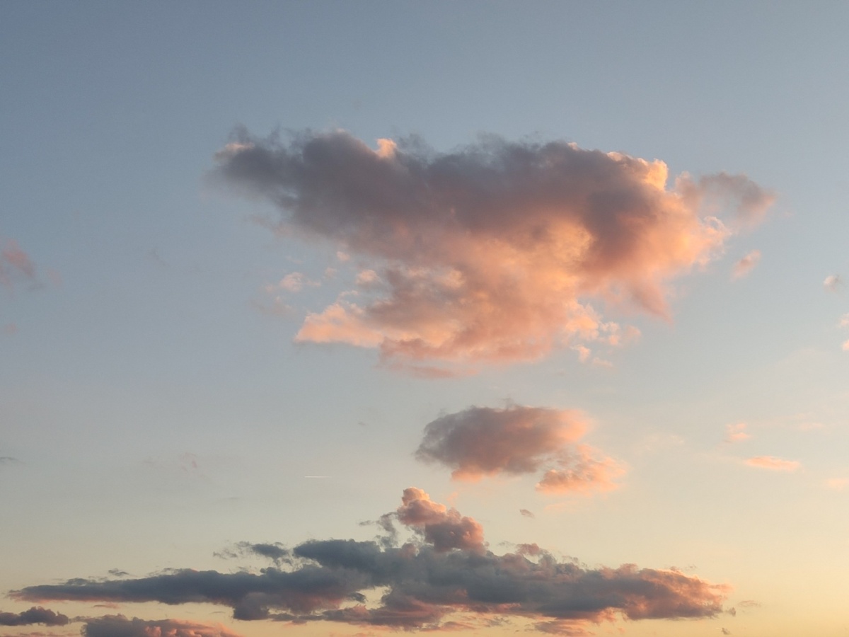 559d02ff-c3d2-472f-8e95-8e4501f24808