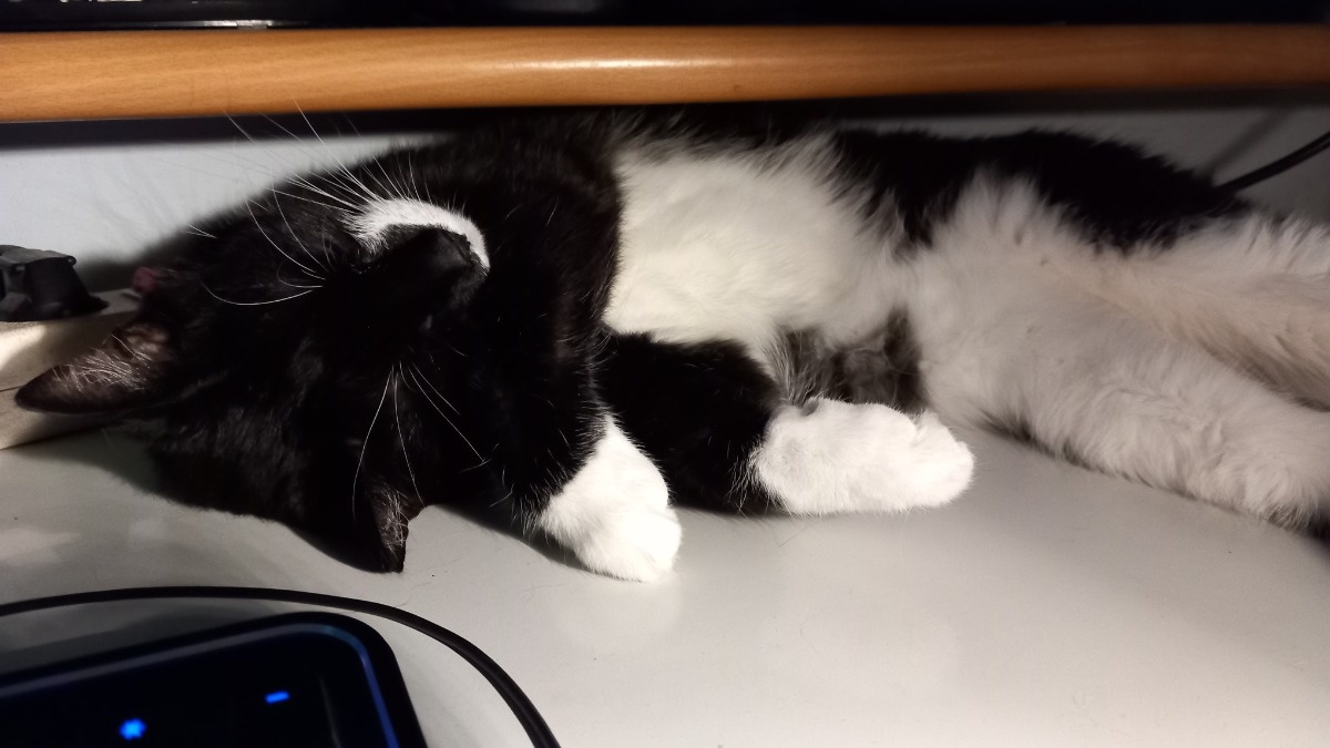 37052634-670f-4400-b453-896710bb07e7