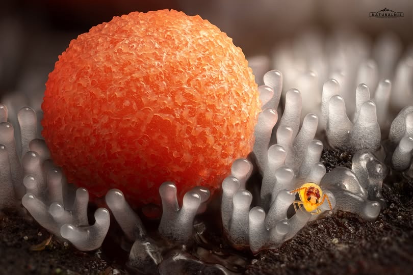 37d622a6-8697-48ec-9d83-23f8bcb39c0f