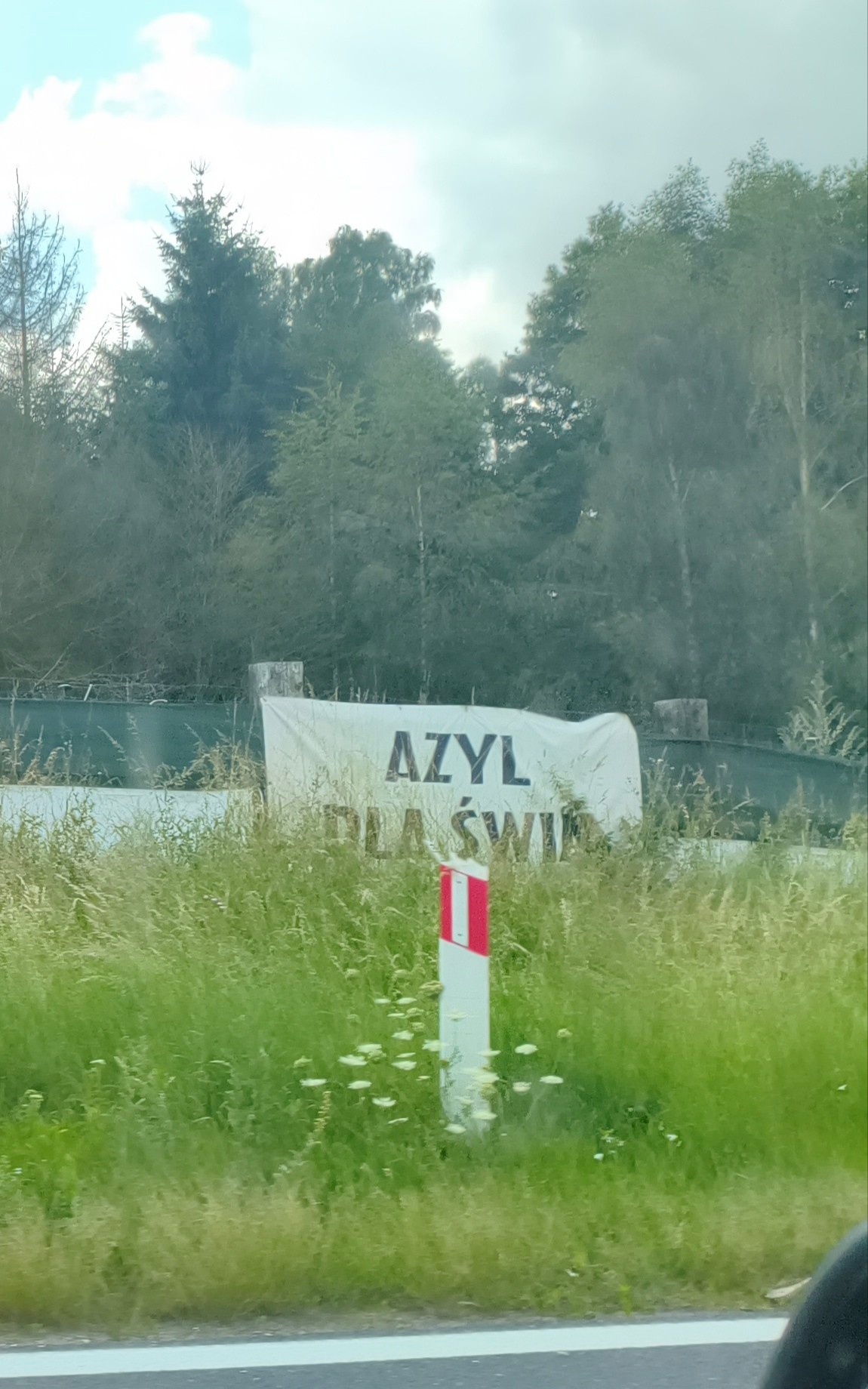 02d02533-1803-406d-9e10-0ff622844988