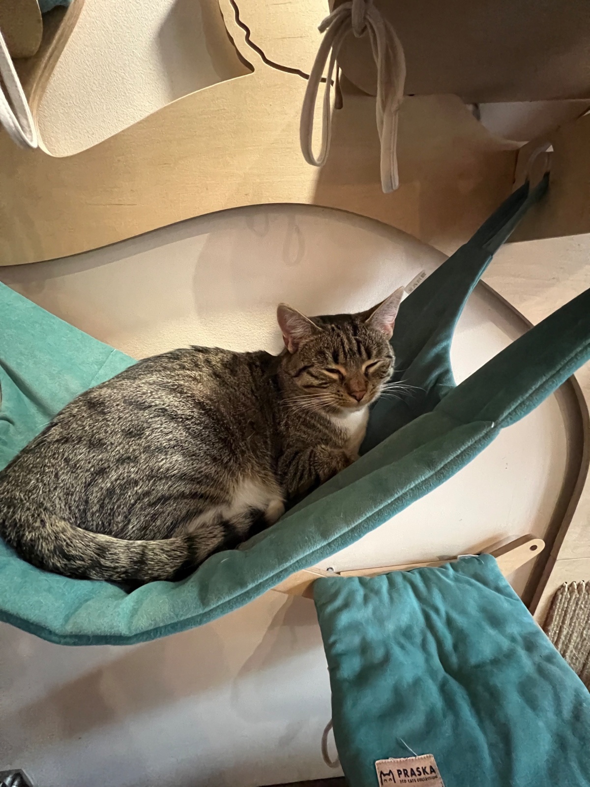 3f5c37b7-f640-4320-99d2-931493558397