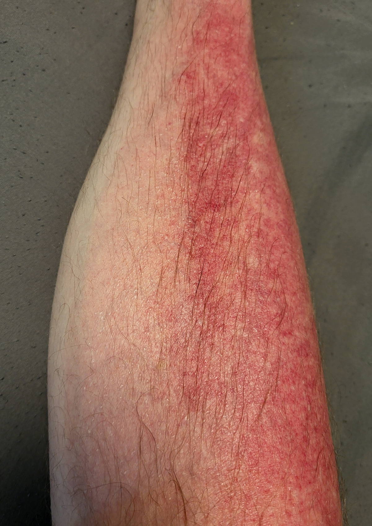 07c17e01-bc71-4ef5-a489-6f5ee661ee13