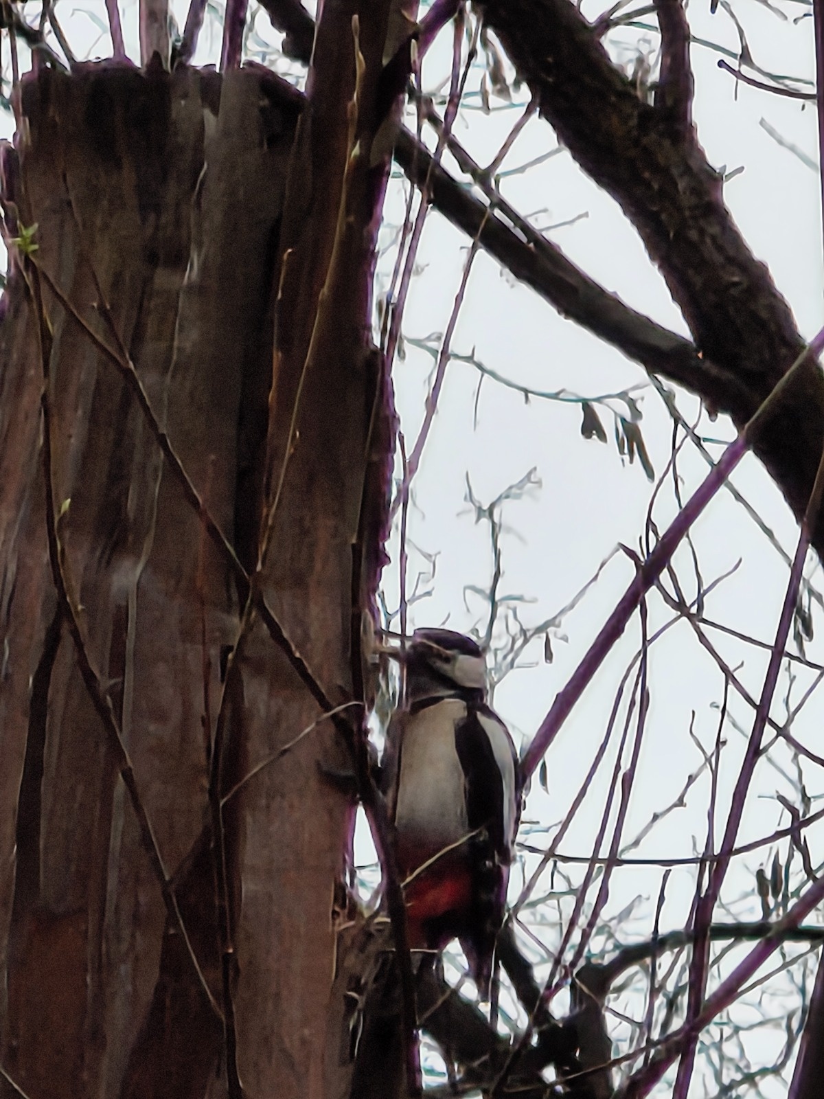 4e7c532a-382f-4b30-8731-607fe5f5f2d0