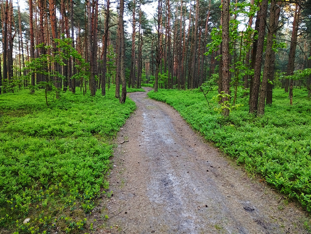 36578848-3712-407b-ab36-a20f6bcad8a9