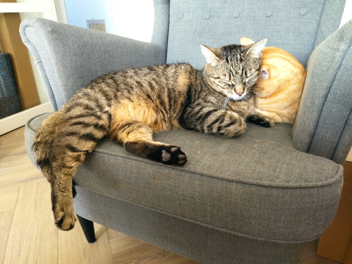 97c0022e-4105-4038-bbe8-284011df21e7