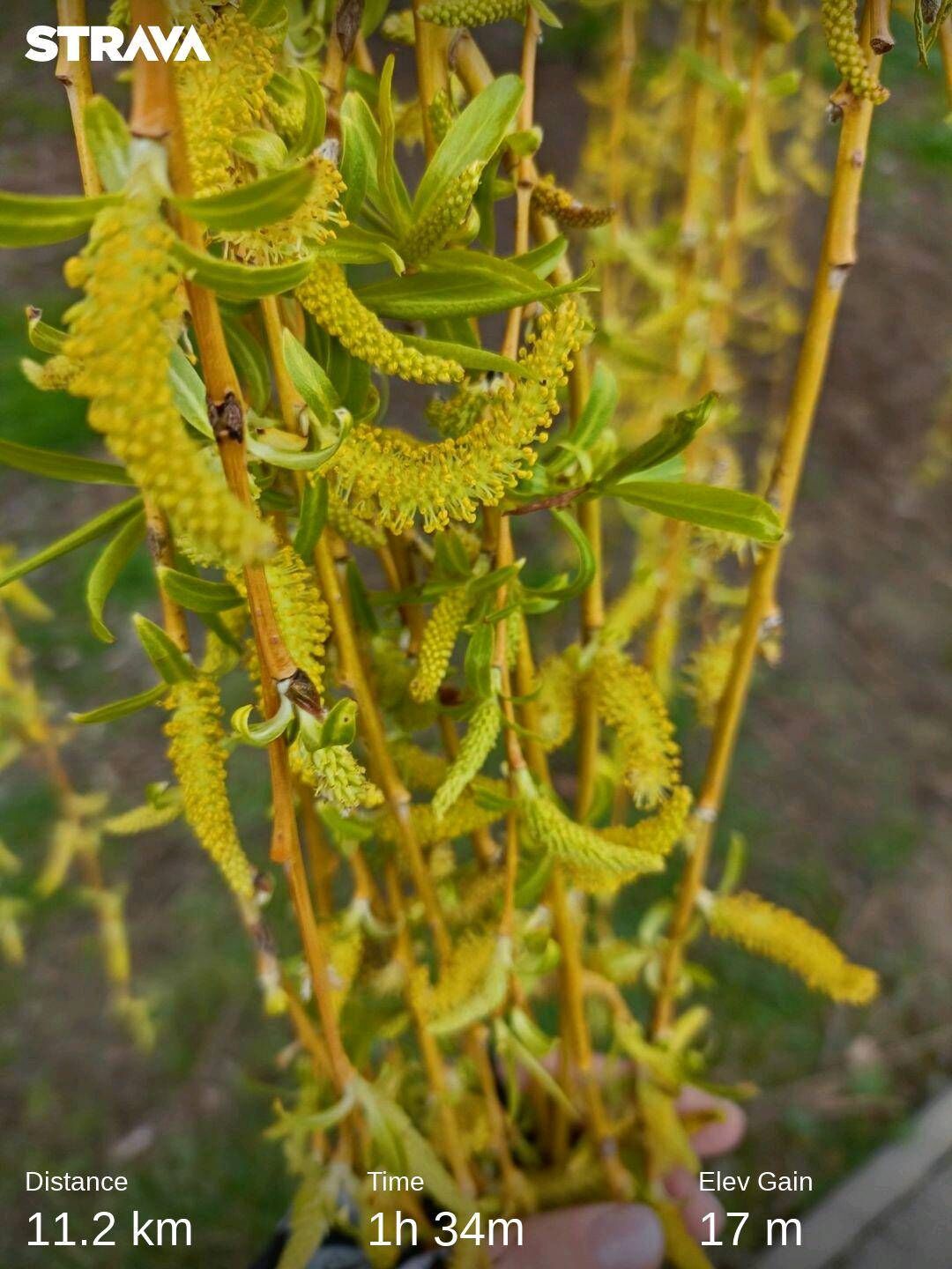 6cf1125a-8d7c-4edf-8104-bdf1f7acf833