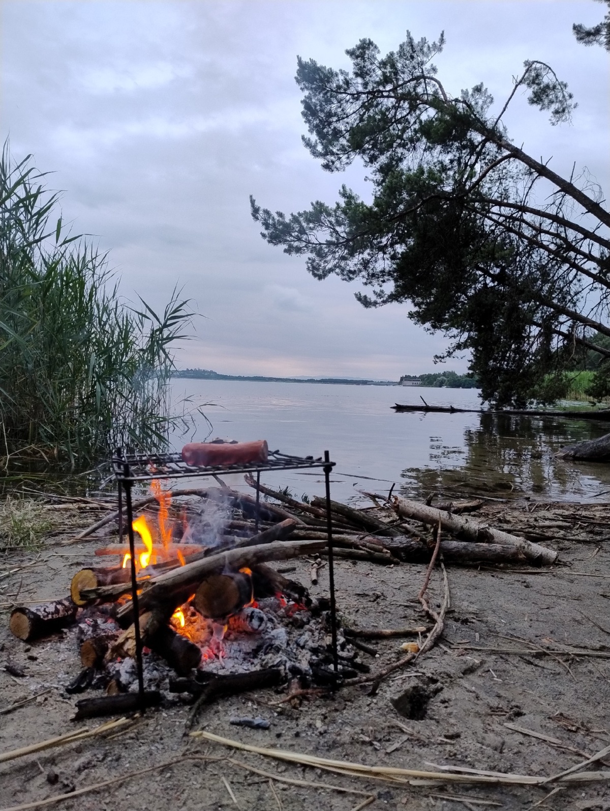 fe932d76-7d7b-4bef-8aca-76ce6e7a7aa6