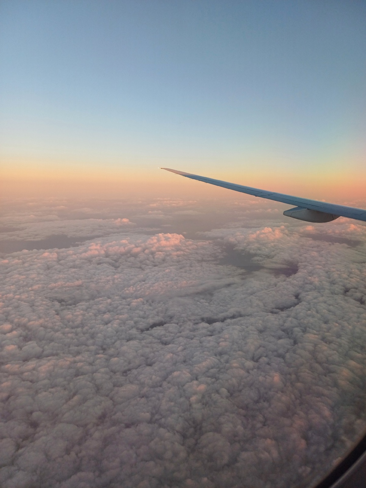 5d060690-e0fd-46b3-8ab7-53b37037e074